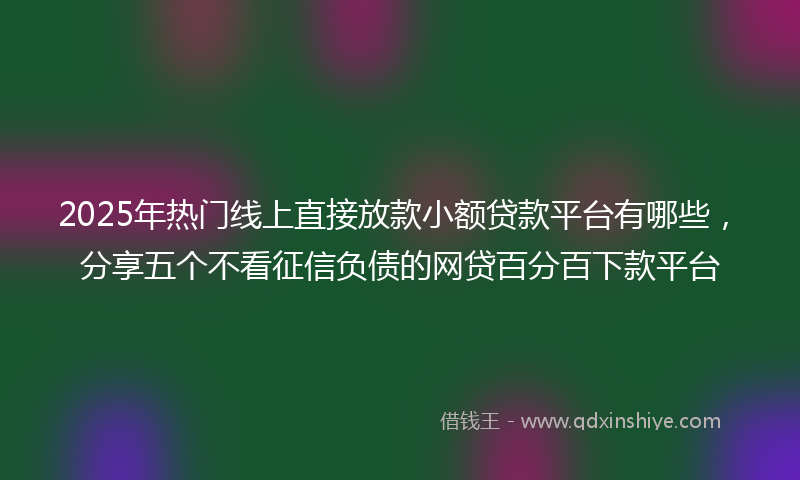 2025年热门线上直接放款小额贷款平台有哪些，分享五个不看征信负债的网贷百分百下款平台