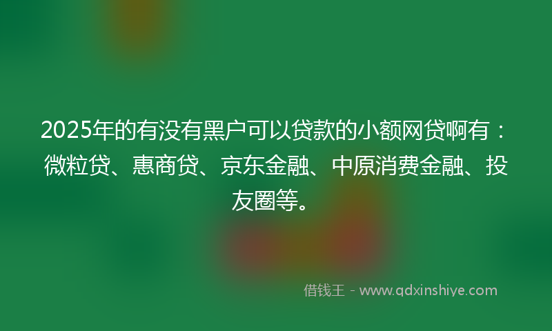 2025年的有没有黑户可以贷款的小额网贷啊有：微粒贷、惠商贷、京东金融、中原消费金融、投友圈等。