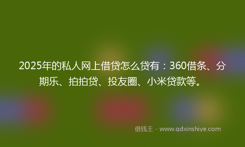 2025年的私人网上借贷怎么贷有：360借条、分期乐、拍拍贷、投友圈、小米贷款等。
