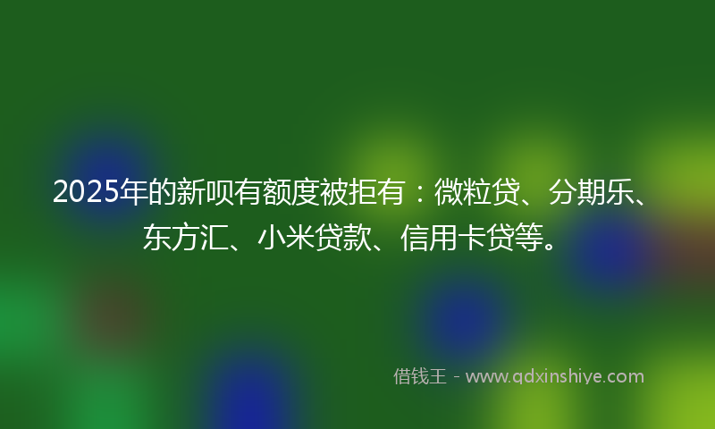 2025年的新呗有额度被拒有：微粒贷、分期乐、东方汇、小米贷款、信用卡贷等。