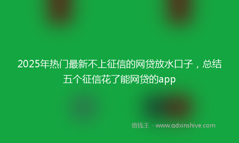 2025年热门最新不上征信的网贷放水口子，总结五个征信花了能网贷的app