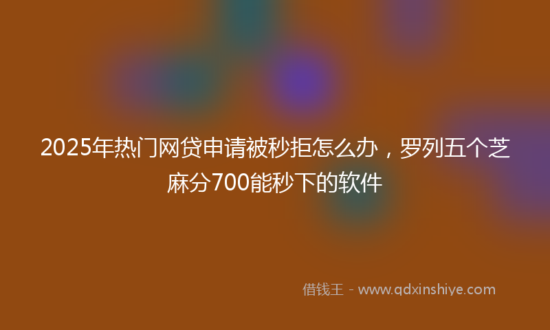 2025年热门网贷申请被秒拒怎么办，罗列五个芝麻分700能秒下的软件