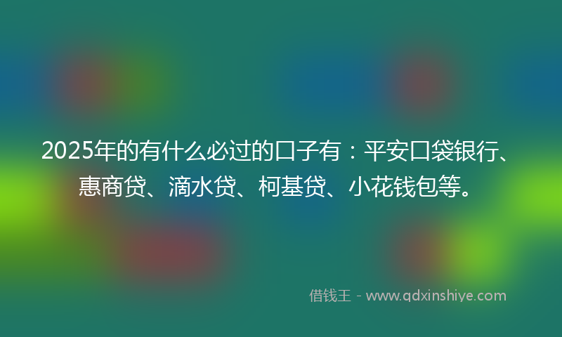2025年的有什么必过的口子有：平安口袋银行、惠商贷、滴水贷、柯基贷、小花钱包等。