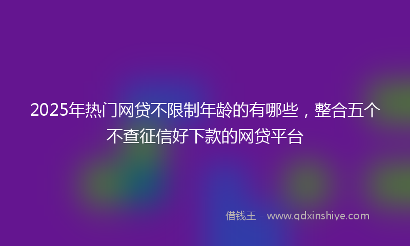 2025年热门网贷不限制年龄的有哪些，整合五个不查征信好下款的网贷平台