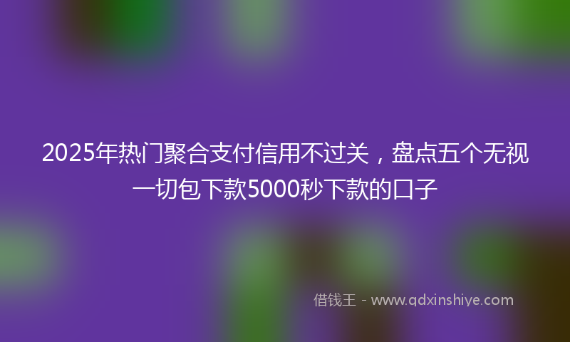 2025年热门聚合支付信用不过关，盘点五个无视一切包下款5000秒下款的口子