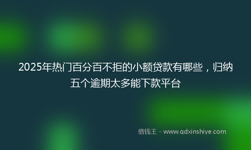 2025年热门百分百不拒的小额贷款有哪些，归纳五个逾期太多能下款平台