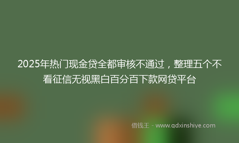 2025年热门现金贷全都审核不通过，整理五个不看征信无视黑白百分百下款网贷平台