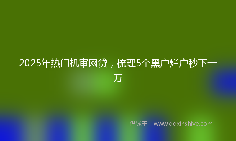 2025年热门机审网贷，梳理5个黑户烂户秒下一万