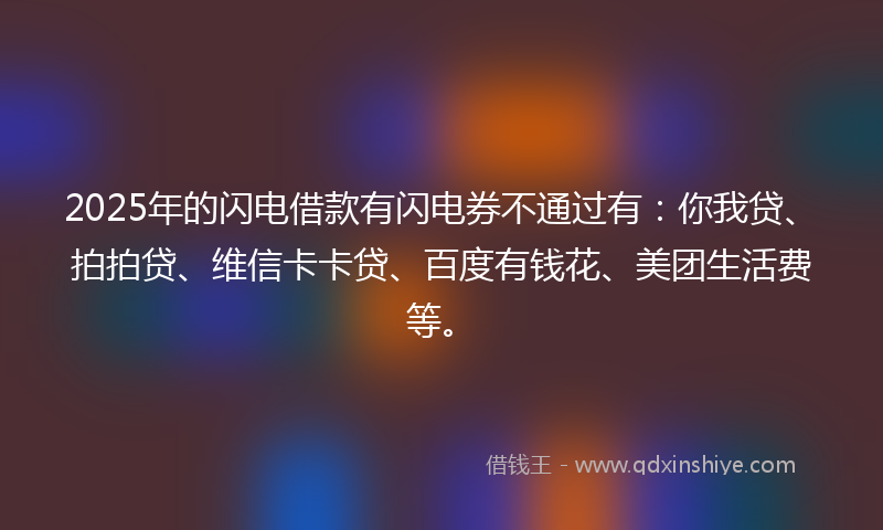 2025年的闪电借款有闪电券不通过有：你我贷、拍拍贷、维信卡卡贷、百度有钱花、美团生活费等。