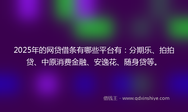 2025年的网贷借条有哪些平台有：分期乐、拍拍贷、中原消费金融、安逸花、随身贷等。