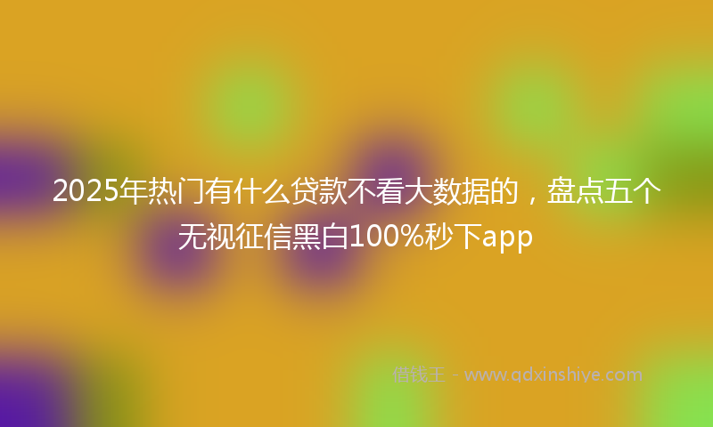 2025年热门有什么贷款不看大数据的，盘点五个无视征信黑白100%秒下app