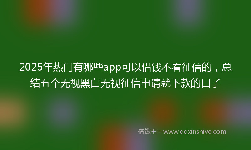 2025年热门有哪些app可以借钱不看征信的，总结五个无视黑白无视征信申请就下款的口子