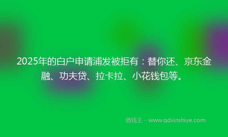 2025年的白户申请浦发被拒有：替你还、京东金融、功夫贷、拉卡拉、小花钱包等。