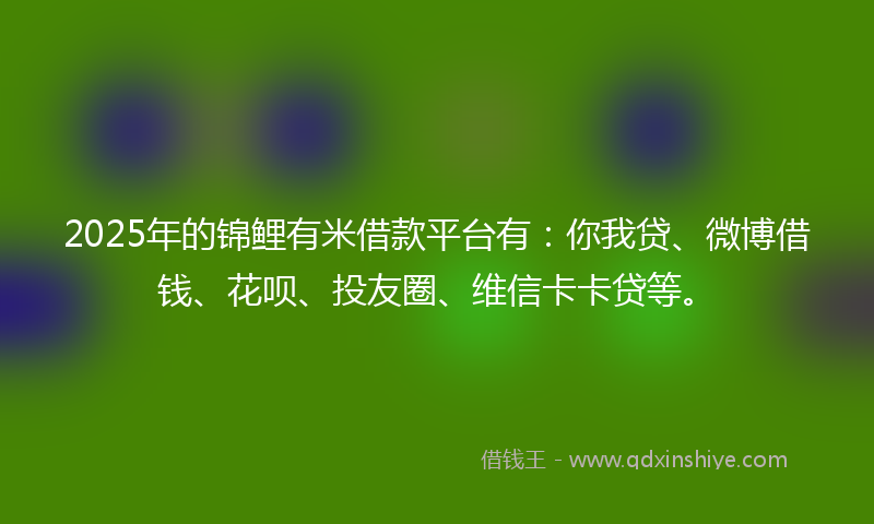 2025年的锦鲤有米借款平台有：你我贷、微博借钱、花呗、投友圈、维信卡卡贷等。