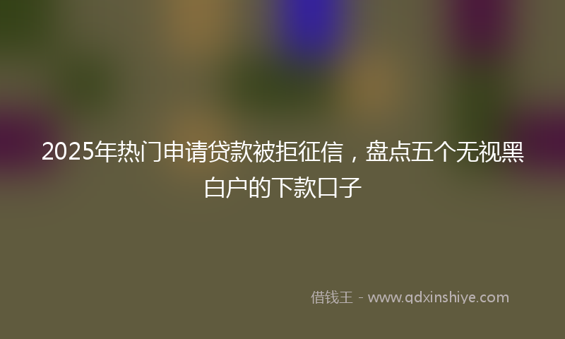2025年热门申请贷款被拒征信，盘点五个无视黑白户的下款口子