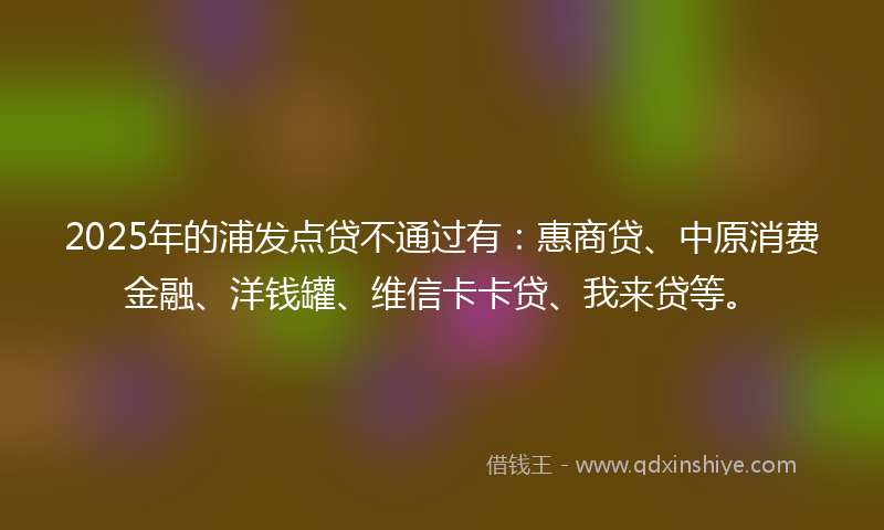 2025年的浦发点贷不通过有：惠商贷、中原消费金融、洋钱罐、维信卡卡贷、我来贷等。