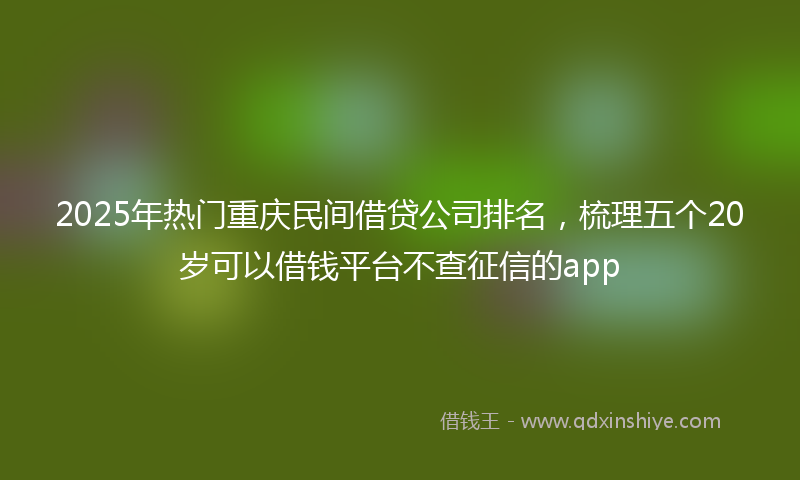 2025年热门重庆民间借贷公司排名，梳理五个20岁可以借钱平台不查征信的app