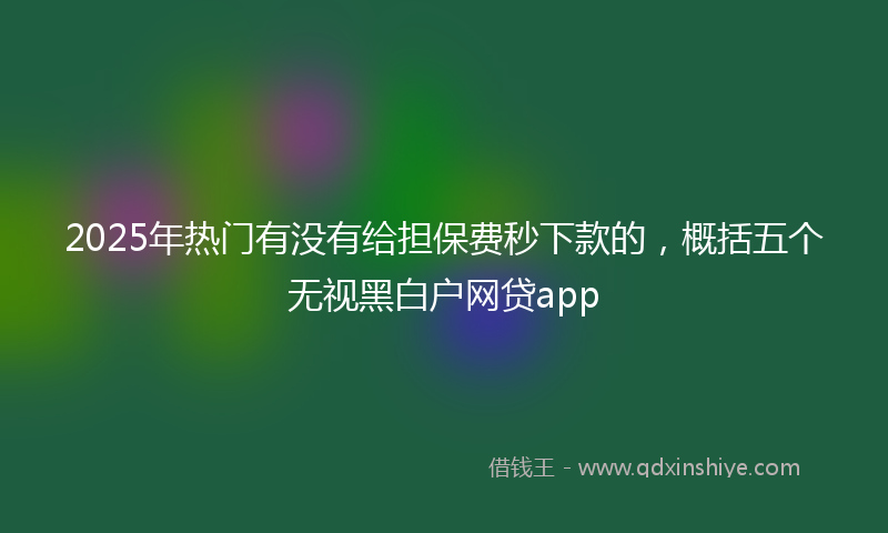 2025年热门有没有给担保费秒下款的，概括五个无视黑白户网贷app