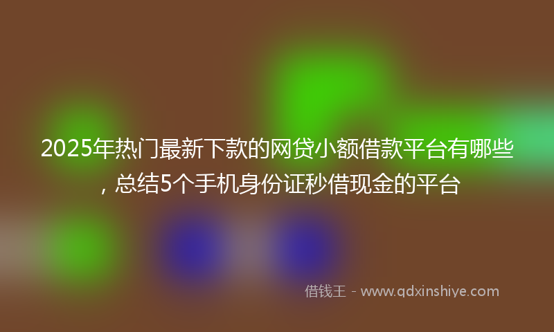 2025年热门最新下款的网贷小额借款平台有哪些，总结5个手机身份证秒借现金的平台