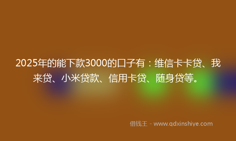 2025年的能下款3000的口子有：维信卡卡贷、我来贷、小米贷款、信用卡贷、随身贷等。