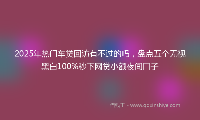 2025年热门车贷回访有不过的吗，盘点五个无视黑白100%秒下网贷小额夜间口子