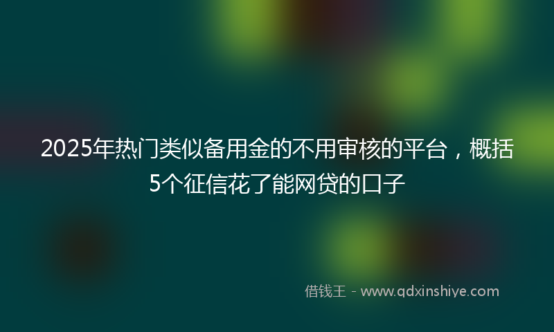 2025年热门类似备用金的不用审核的平台，概括5个征信花了能网贷的口子