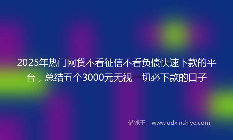 2025年热门网贷不看征信不看负债快速下款的平台，总结五个3000元无视一切必下款的口子
