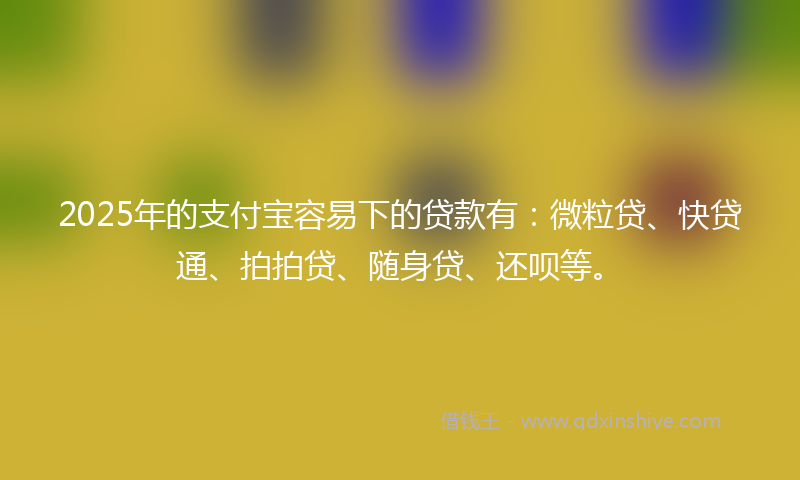 2025年的支付宝容易下的贷款有：微粒贷、快贷通、拍拍贷、随身贷、还呗等。