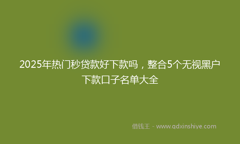2025年热门秒贷款好下款吗，整合5个无视黑户下款口子名单大全