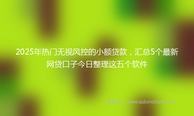 2025年热门无视风控的小额贷款，汇总5个最新网贷口子今日整理这五个软件