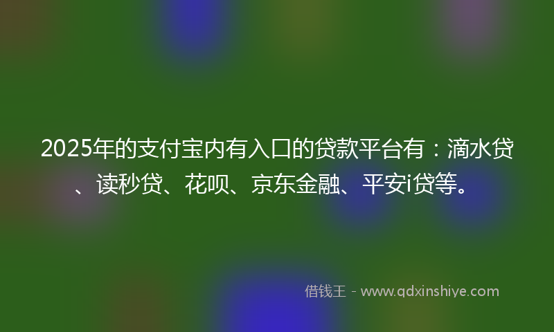 2025年的支付宝内有入口的贷款平台有：滴水贷、读秒贷、花呗、京东金融、平安i贷等。