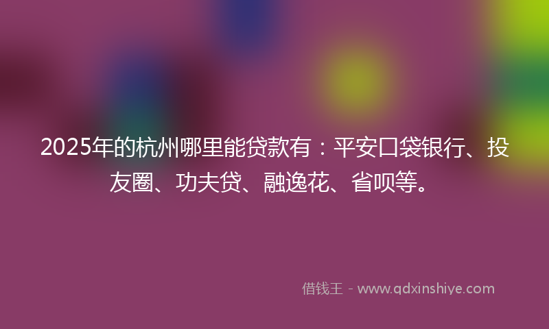 2025年的杭州哪里能贷款有：平安口袋银行、投友圈、功夫贷、融逸花、省呗等。