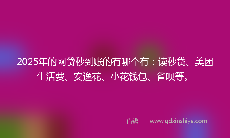 2025年的网贷秒到账的有哪个有：读秒贷、美团生活费、安逸花、小花钱包、省呗等。