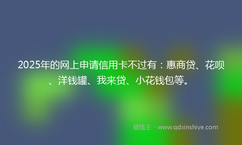 2025年的网上申请信用卡不过有：惠商贷、花呗、洋钱罐、我来贷、小花钱包等。