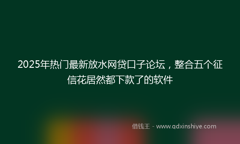 2025年热门最新放水网贷口子论坛，整合五个征信花居然都下款了的软件