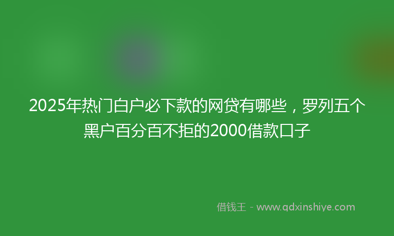 2025年热门白户必下款的网贷有哪些，罗列五个黑户百分百不拒的2000借款口子
