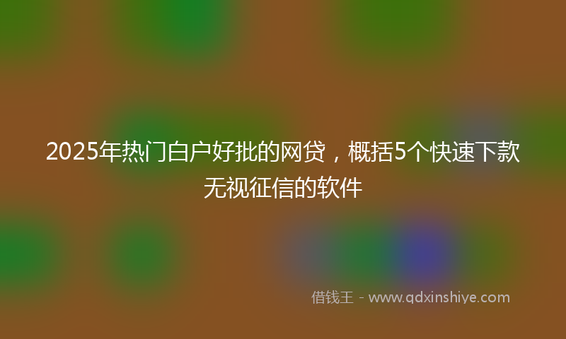 2025年热门白户好批的网贷，概括5个快速下款无视征信的软件