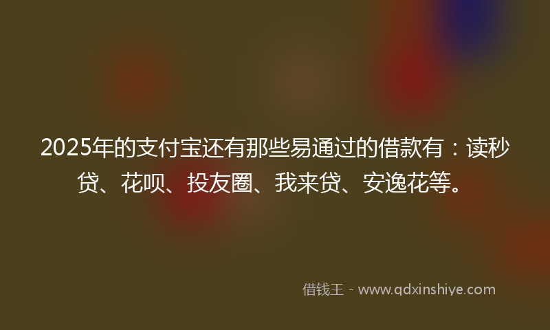 2025年的支付宝还有那些易通过的借款有：读秒贷、花呗、投友圈、我来贷、安逸花等。