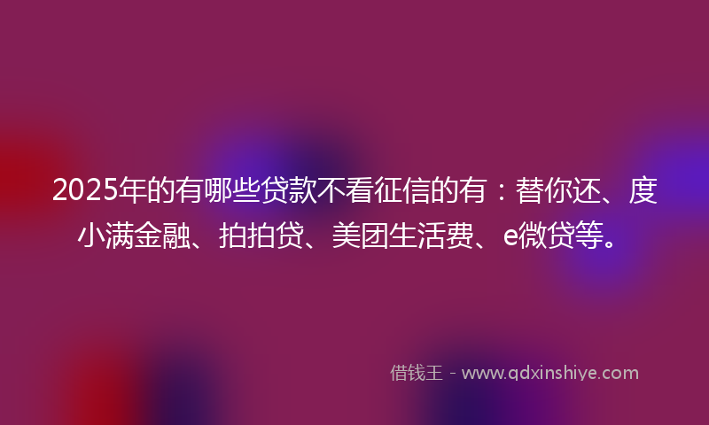 2025年的有哪些贷款不看征信的有：替你还、度小满金融、拍拍贷、美团生活费、e微贷等。