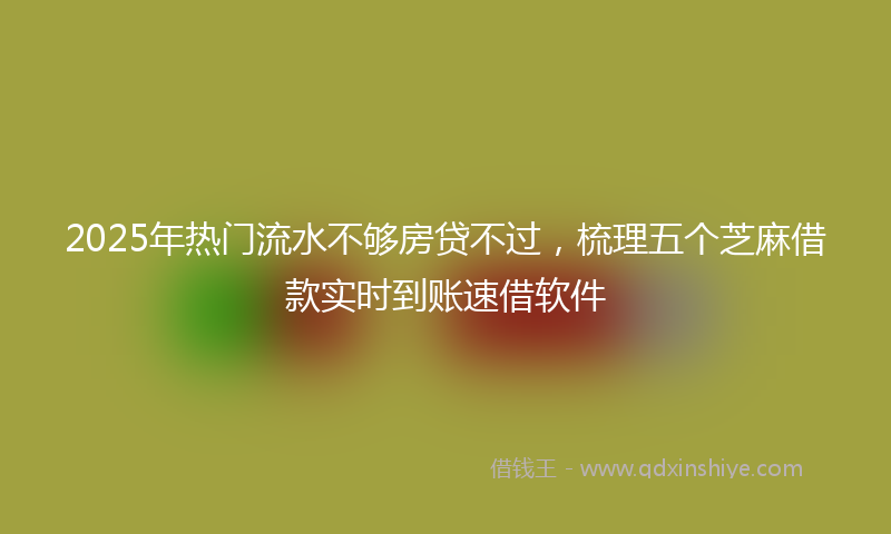 2025年热门流水不够房贷不过，梳理五个芝麻借款实时到账速借软件