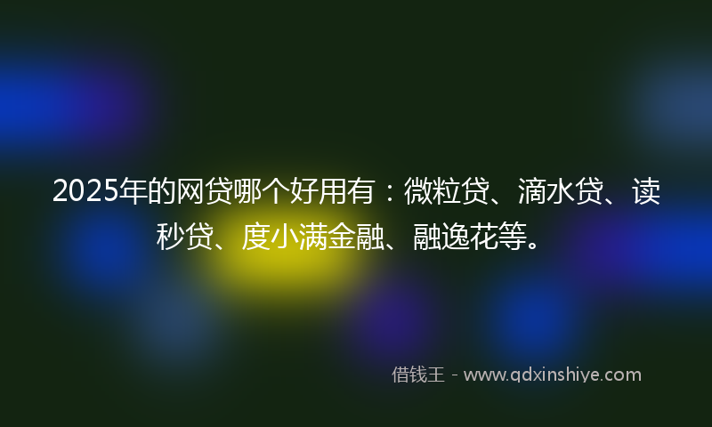 2025年的网贷哪个好用有：微粒贷、滴水贷、读秒贷、度小满金融、融逸花等。