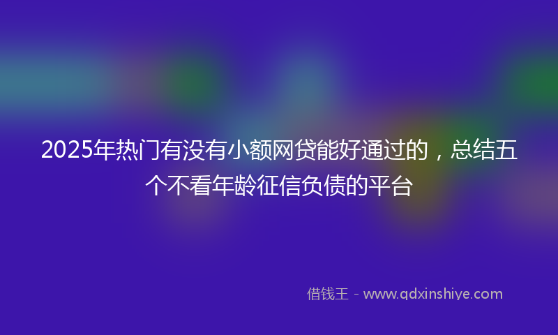2025年热门有没有小额网贷能好通过的，总结五个不看年龄征信负债的平台