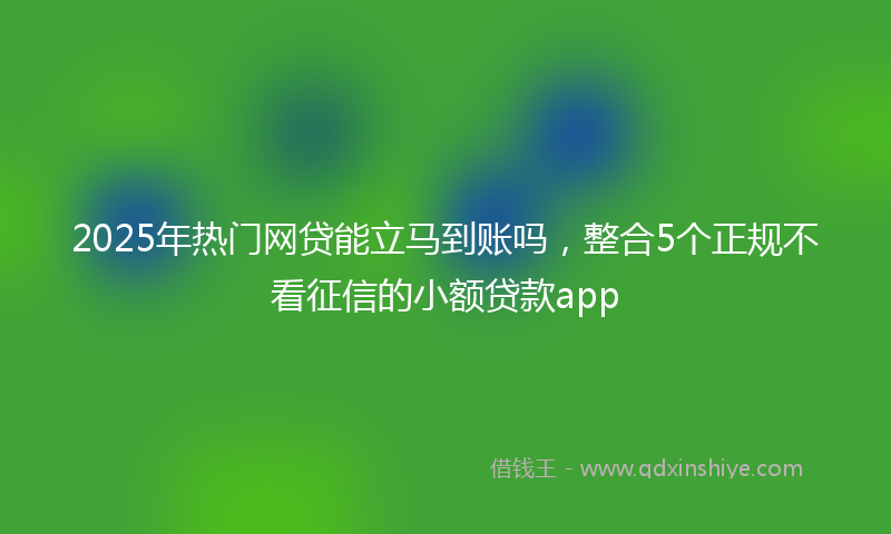 2025年热门网贷能立马到账吗，整合5个正规不看征信的小额贷款app