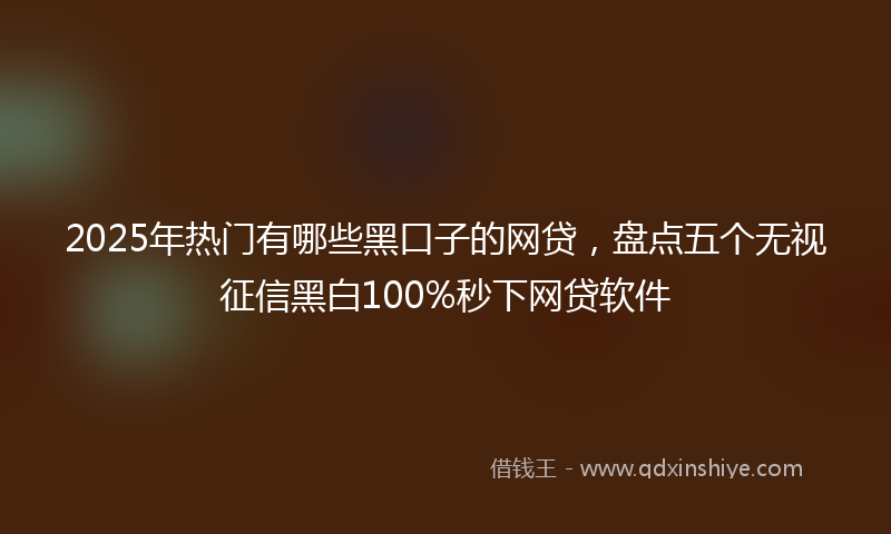 2025年热门有哪些黑口子的网贷，盘点五个无视征信黑白100%秒下网贷软件