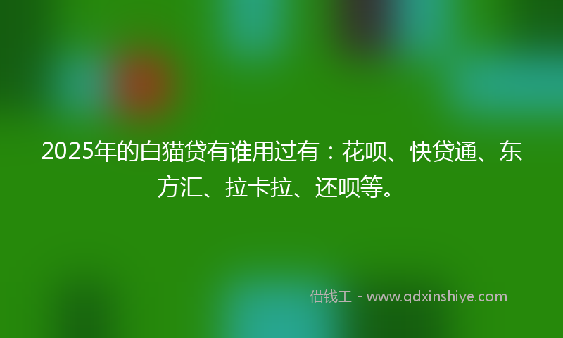 2025年的白猫贷有谁用过有：花呗、快贷通、东方汇、拉卡拉、还呗等。