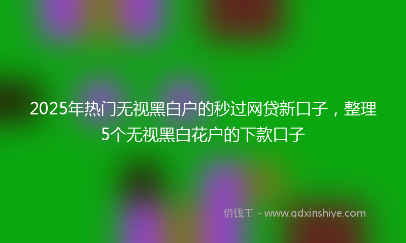 2025年热门无视黑白户的秒过网贷新口子，整理5个无视黑白花户的下款口子