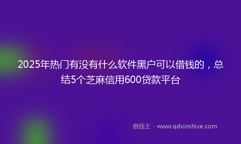2025年热门有没有什么软件黑户可以借钱的，总结5个芝麻信用600贷款平台