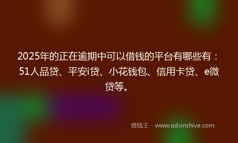 2025年的正在逾期中可以借钱的平台有哪些有：51人品贷、平安i贷、小花钱包、信用卡贷、e微贷等。