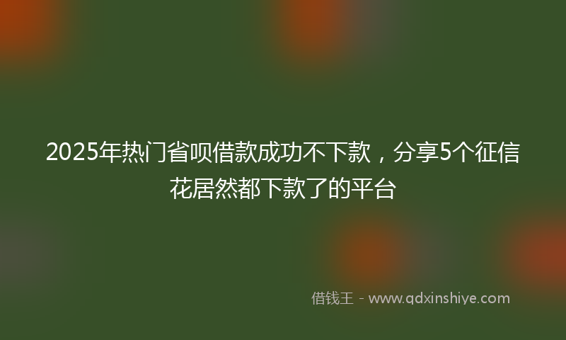 2025年热门省呗借款成功不下款，分享5个征信花居然都下款了的平台