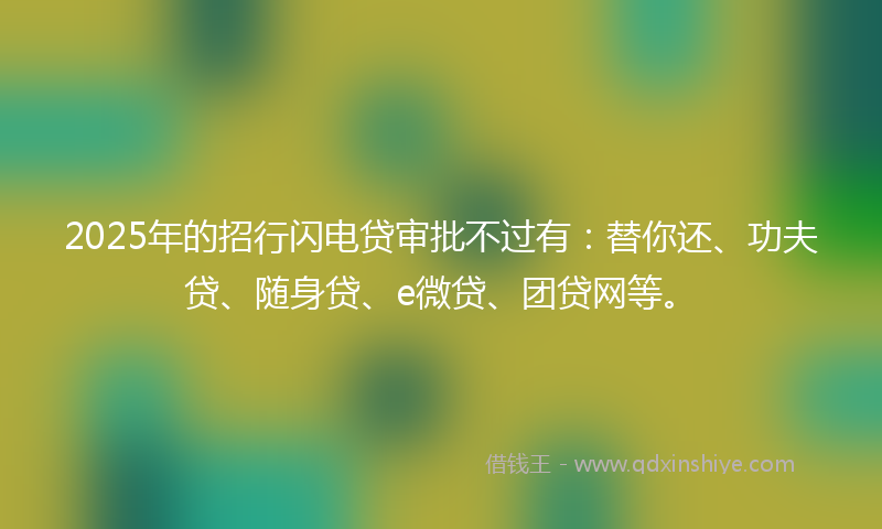 2025年的招行闪电贷审批不过有：替你还、功夫贷、随身贷、e微贷、团贷网等。